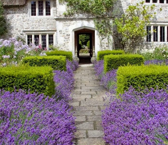 Dom pachnący lawendą